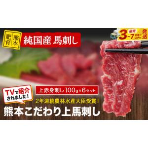 ふるさと納税 馬刺し 上赤身 熊本肥育 たれ付き(10ml×6袋) 100g×6セット《90日以内に出荷予定(土日祝除く)》 熊本県玉東町