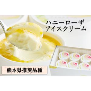 ふるさと納税 糖度17度の甘さ♪ハニーローザアイスクリーム 120ml×8個《60日以内に出荷予定(土日祝除く)》 熊本県玉名郡玉東町 すもも ハニ.. 熊本県玉東町