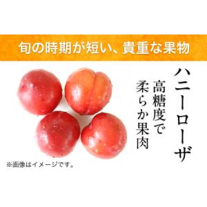 ふるさと納税 糖度17度の甘さ♪ハニーローザア...の詳細画像1