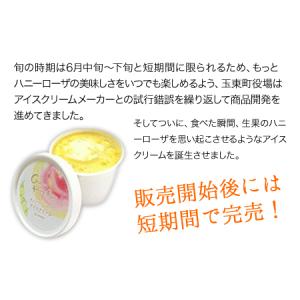 ふるさと納税 糖度17度の甘さ♪ハニーローザア...の詳細画像3