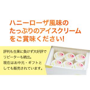 ふるさと納税 糖度17度の甘さ♪ハニーローザア...の詳細画像4