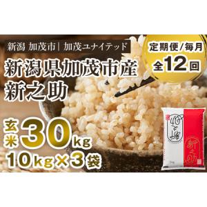 ふるさと納税 【令和8年産新米先行予約】【12ヶ月定期便】新潟県産 新之助 玄米30kg（10kg×3袋）《10月上旬から順次出荷》 加茂ユナイテッ.. 新潟県加茂市
