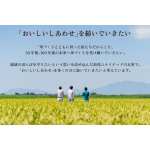 ふるさと納税 【令和8年産新米先行予約】【12...の詳細画像1
