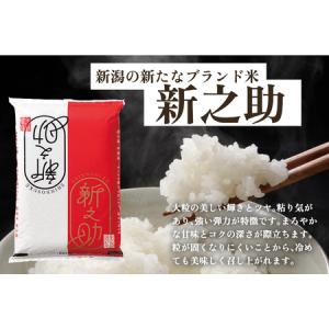 ふるさと納税 【令和8年産新米先行予約】【12...の詳細画像2