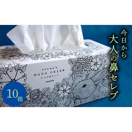 ふるさと納税 大人の鼻セレブ10箱セット  高知県いの町