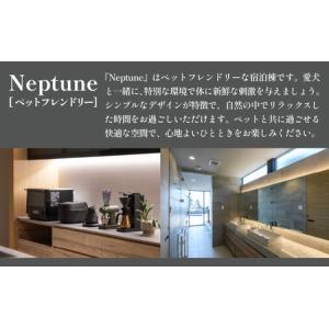 ふるさと納税 【感謝券】【モリスリゾート東尋坊...の詳細画像2