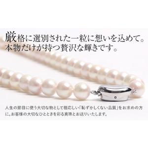 ふるさと納税 【7営業日以内に発送】あこや真珠...の詳細画像3