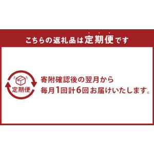 ふるさと納税 【全6回定期便】 おまかせフラワ...の詳細画像2