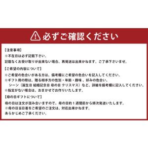 ふるさと納税 【全6回定期便】 おまかせフラワ...の詳細画像3