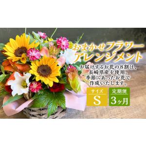 ふるさと納税 【全3回定期便】 おまかせフラワー...の商品画像