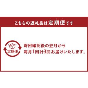 ふるさと納税 【全3回定期便】 おまかせフラワ...の詳細画像2