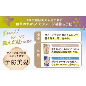 ふるさと納税 いち髪 ダメージリペア&カラーケ...の詳細画像1