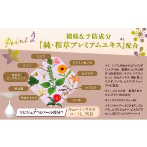ふるさと納税 いち髪 ダメージリペア&カラーケ...の詳細画像2