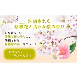 ふるさと納税 いち髪 ダメージリペア&カラーケ...の詳細画像3