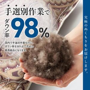 ふるさと納税 【甲州羽毛ふとん】肌掛シルクプリ...の詳細画像2