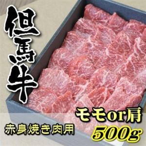 ふるさと納税 但馬牛 赤身焼き肉用(モモ又は肩)500g【配送不可地域：離島】【1046854】 兵...