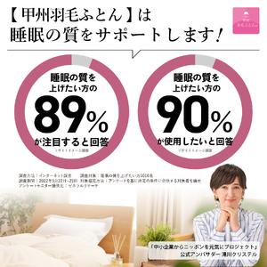 ふるさと納税 【甲州羽毛ふとん】合掛けシルクプ...の詳細画像1