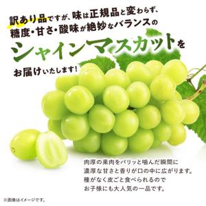 ふるさと納税 【訳あり】 池田青果のシャインマ...の詳細画像1