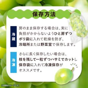 ふるさと納税 【訳あり】 池田青果のシャインマ...の詳細画像3
