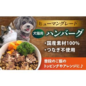 ふるさと納税 【全12回定期便】ペットフード ...の詳細画像1