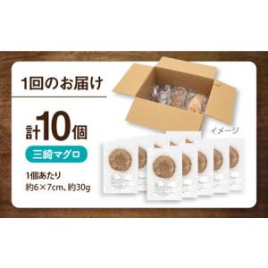 ふるさと納税 【全12回定期便】ペットフード ...の詳細画像4