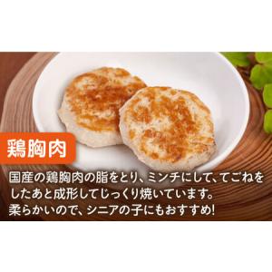 ふるさと納税 【全12回定期便】ペットフード ...の詳細画像2