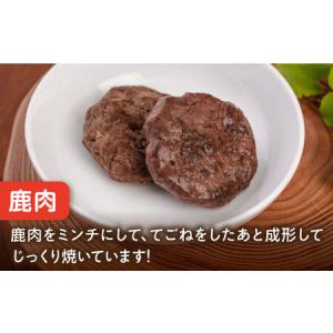 ふるさと納税 【全12回定期便】ペットフード ...の詳細画像2