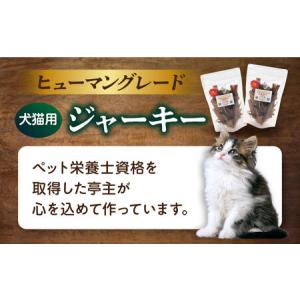 ふるさと納税 【全12回定期便】犬猫おやつ 三...の詳細画像1