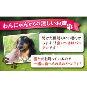 ふるさと納税 【全12回定期便】犬猫おやつ 三...の詳細画像3