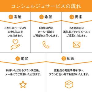 ふるさと納税 【壱岐市コンシェルジュ】返礼品お...の詳細画像3