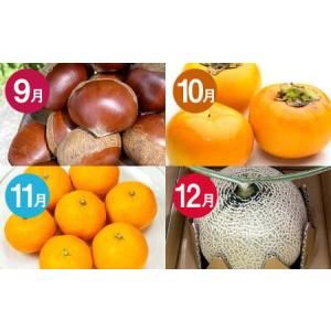 ふるさと納税 【12か月連続定期便】熊本の旬の...の詳細画像3