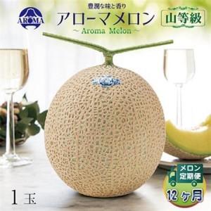 ふるさと納税 【毎月定期便】アローマメロン(山等級) 1玉 全12回【配送不可地域：離島・北海道・沖縄県】【4013000】 静岡県掛川市