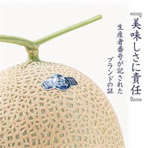 ふるさと納税 【毎月定期便】アローマメロン(山...の詳細画像1