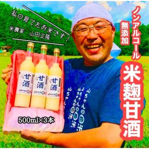 ふるさと納税 山ちゃんの米麹甘酒3本セット あま...の商品画像