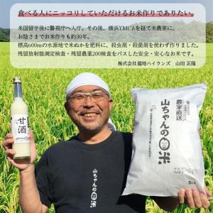 ふるさと納税 山ちゃんの米麹甘酒3本セット あ...の詳細画像4