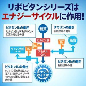 ふるさと納税 【リポビタンD】 100ml 5...の詳細画像4