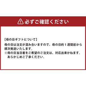 ふるさと納税 【全6回定期便】 おまかせフラワ...の詳細画像4