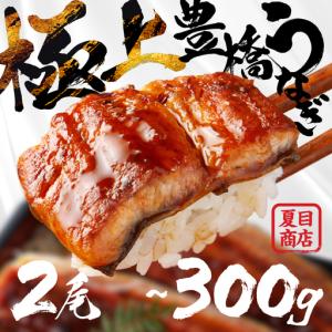 ふるさと納税 うなぎ 蒲焼 2尾 うなぎ 夏目商...の商品画像