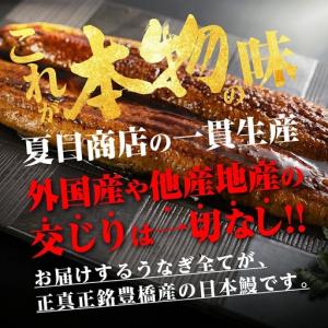 ふるさと納税 うなぎ 蒲焼 2尾 うなぎ 夏目...の詳細画像1