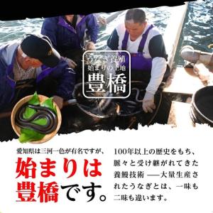ふるさと納税 うなぎ 蒲焼 2尾 うなぎ 夏目...の詳細画像2