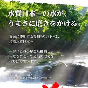 ふるさと納税 うなぎ 蒲焼 2尾 うなぎ 夏目...の詳細画像3