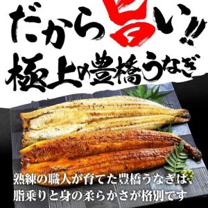 ふるさと納税 うなぎ 蒲焼 2尾 うなぎ 夏目...の詳細画像4