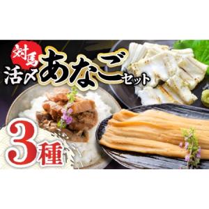 ふるさと納税 A-068　対馬産　活〆あなごセット 長崎県対馬市