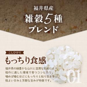 ふるさと納税 【福井県産ブレンド米】【一等米】...の詳細画像1