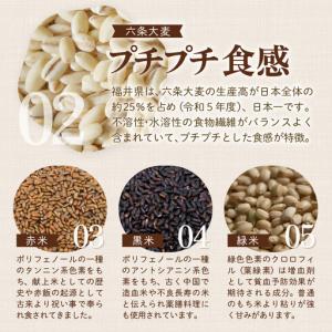 ふるさと納税 【福井県産ブレンド米】【一等米】...の詳細画像2