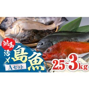 ふるさと納税 対馬 活〆 島魚セット 2.5〜3kg《対馬市...