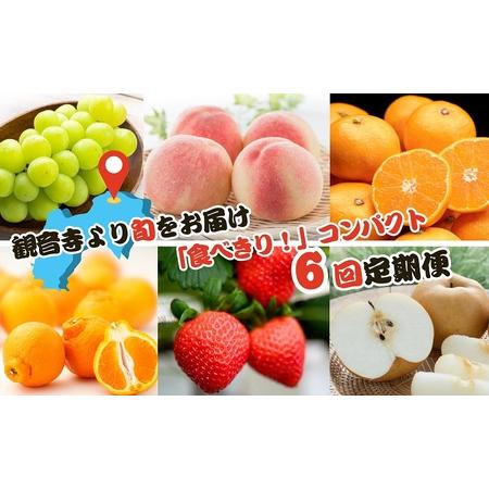 ふるさと納税 【2025年受付】ご家庭用 食べきり 旬果フルーツ定期便 全6回  香川県観音寺市