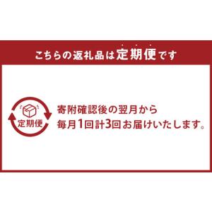 ふるさと納税 【全3回定期便】 おまかせフラワ...の詳細画像2