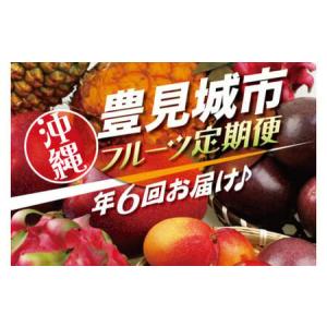 ふるさと納税 【全6回】人気！沖縄フルーツ定期便 (AC020) 沖縄県豊見城市