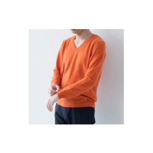 ふるさと納税 カシミヤ Vネック ニット度詰 カシミヤ(キャロット)男性用サイズ:M(42)≪白田のカシミヤ≫ 宮城県加美町